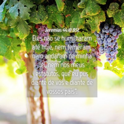 Picture 04 - Jeremias 44:10 BSL - Eles não se humilharam até hoje, nem temeram, - Bible Verse Picture