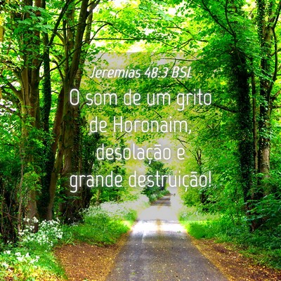 Picture 04 - Jeremias 48:3 BSL - O som de um grito de Horonaim, desolação e - Bible Verse Picture