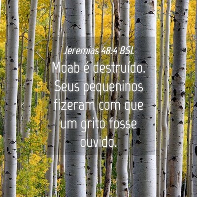 Picture 04 - Jeremias 48:4 BSL - Moab é destruído. Seus pequeninos fizeram com - Bible Verse Picture
