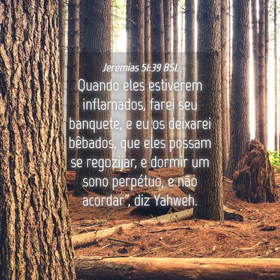Picture 04 - Jeremias 51:39 BSL - Quando eles estiverem inflamados, farei seu - Bible Verse Picture