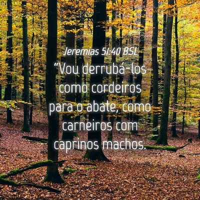 Picture 04 - Jeremias 51:40 BSL - “Vou derrubá-los como cordeiros para o abate, - Bible Verse Picture