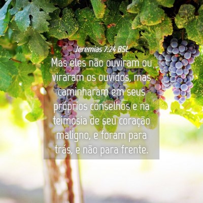 Picture 04 - Jeremias 7:24 BSL - Mas eles não ouviram ou viraram os ouvidos, mas - Bible Verse Picture
