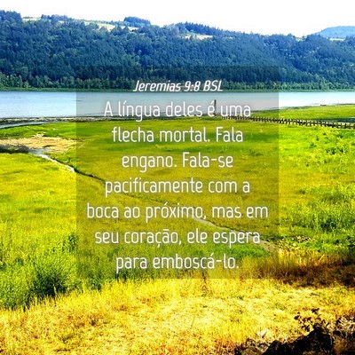 Picture 04 - Jeremias 9:8 BSL - A língua deles é uma flecha mortal. Fala - Bible Verse Picture