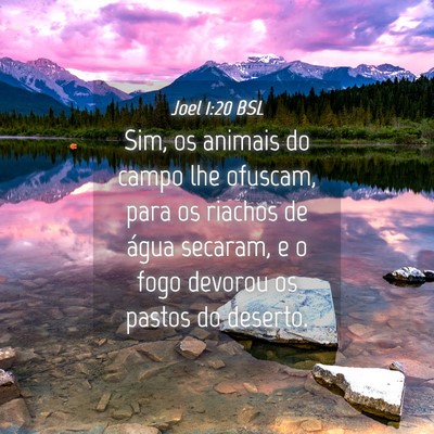 Picture 04 - Joel 1:20 BSL - Sim, os animais do campo lhe ofuscam, para os - Bible Verse Picture