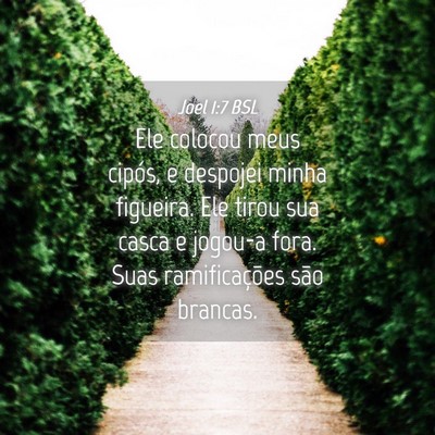 Picture 04 - Joel 1:7 BSL - Ele colocou meus cipós, e despojei minha - Bible Verse Picture