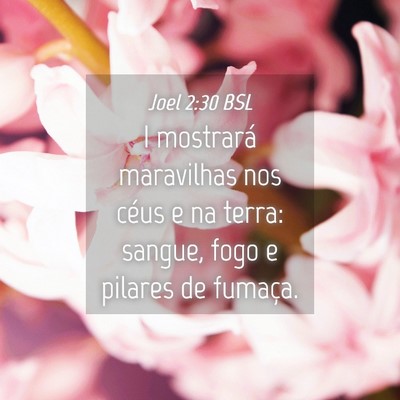 Picture 04 - Joel 2:30 BSL - I mostrará maravilhas nos céus e na terra: - Bible Verse Picture