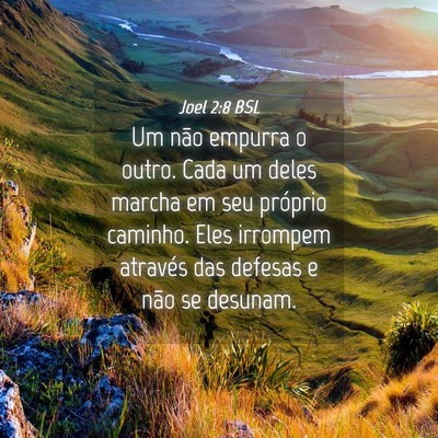 Picture 04 - Joel 2:8 BSL - Um não empurra o outro. Cada um deles marcha em - Bible Verse Picture