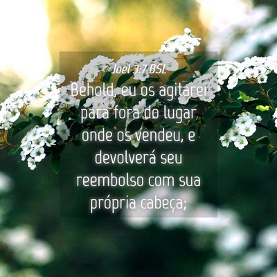 Picture 04 - Joel 3:7 BSL - Behold, eu os agitarei para fora do lugar onde os - Bible Verse Picture