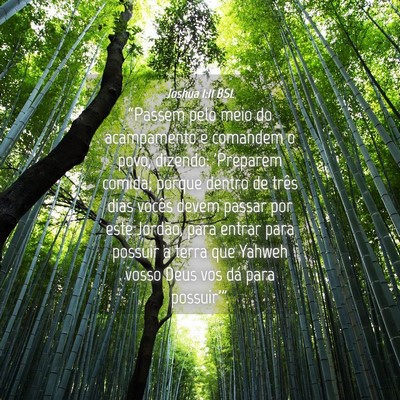 Picture 04 - Joshua 1:11 BSL - “Passem pelo meio do acampamento e comandem o - Bible Verse Picture
