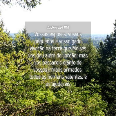 Picture 04 - Joshua 1:14 BSL - Vossas esposas, vossos pequenos e vosso gado - Bible Verse Picture
