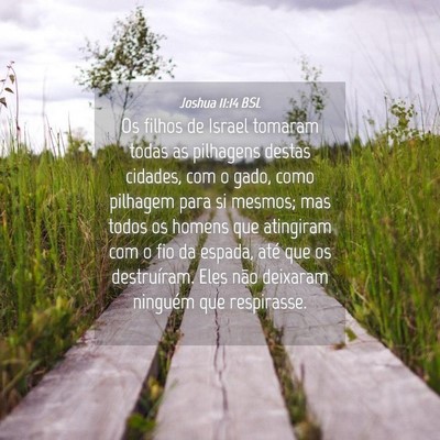 Picture 04 - Joshua 11:14 BSL - Os filhos de Israel tomaram todas as pilhagens - Bible Verse Picture
