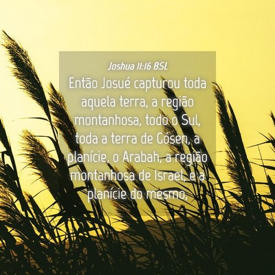 Picture 04 - Joshua 11:16 BSL - Então Josué capturou toda aquela terra, a - Bible Verse Picture