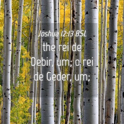 Picture 04 - Joshua 12:13 BSL - the rei de Debir, um; o rei de Geder, - Bible Verse Picture