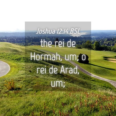 Picture 04 - Joshua 12:14 BSL - the rei de Hormah, um; o rei de Arad, - Bible Verse Picture