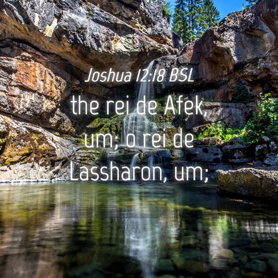 Picture 04 - Joshua 12:18 BSL - the rei de Afek, um; o rei de Lassharon, - Bible Verse Picture