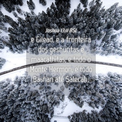 Picture 04 - Joshua 13:11 BSL - e Gilead, e a fronteira dos geshuritas e - Bible Verse Picture