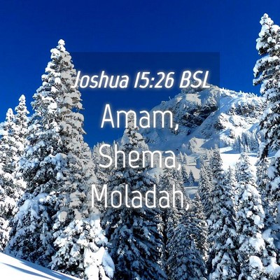 Picture 04 - Joshua 15:26 BSL - Amam, Shema, - Bible Verse Picture