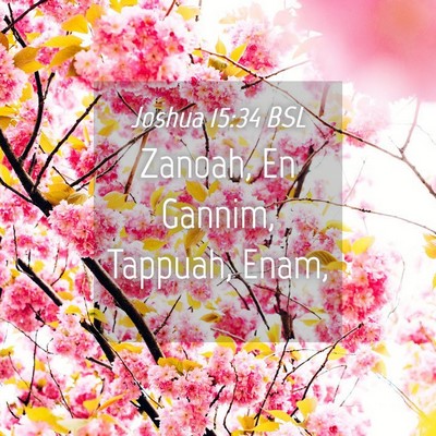 Picture 04 - Joshua 15:34 BSL - Zanoah, En Gannim, Tappuah, - Bible Verse Picture