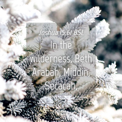 Picture 04 - Joshua 15:61 BSL - In the wilderness, Beth Arabah, Middin, - Bible Verse Picture