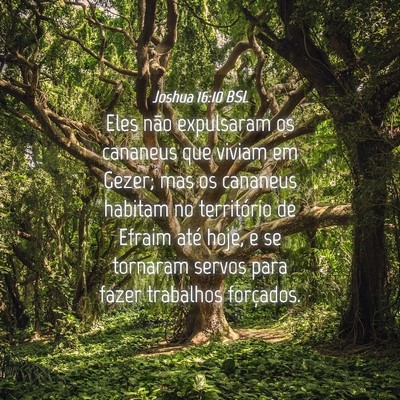 Picture 04 - Joshua 16:10 BSL - Eles não expulsaram os cananeus que viviam em - Bible Verse Picture
