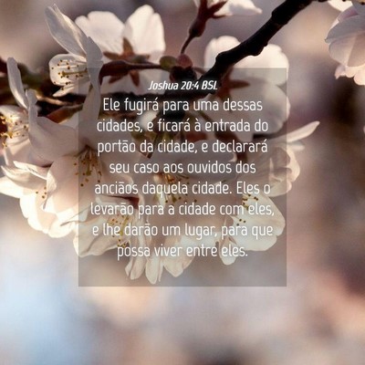 Picture 04 - Joshua 20:4 BSL - Ele fugirá para uma dessas cidades, e ficará à - Bible Verse Picture