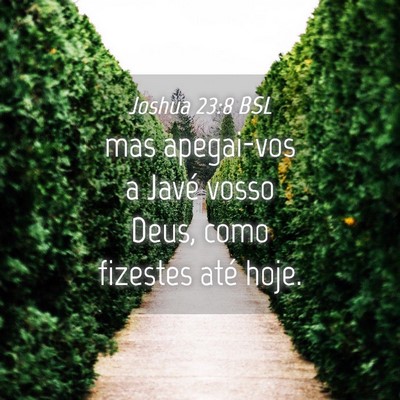 Picture 04 - Joshua 23:8 BSL - mas apegai-vos a Javé vosso Deus, como fizestes - Bible Verse Picture