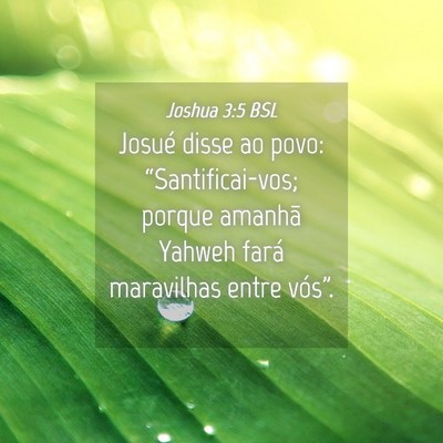 Picture 04 - Joshua 3:5 BSL - Josué disse ao povo: “Santificai-vos; porque - Bible Verse Picture