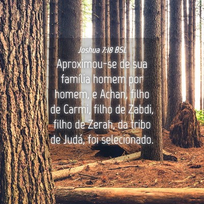 Picture 04 - Joshua 7:18 BSL - Aproximou-se de sua família homem por homem, e - Bible Verse Picture