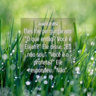 Picture 04 - João 1:21 BSL - Eles lhe perguntaram: “O que então? Você é - Bible Verse Picture