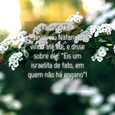 Picture 04 - João 1:47 BSL - Jesus viu Natanael vindo até ele, e disse sobre - Bible Verse Picture