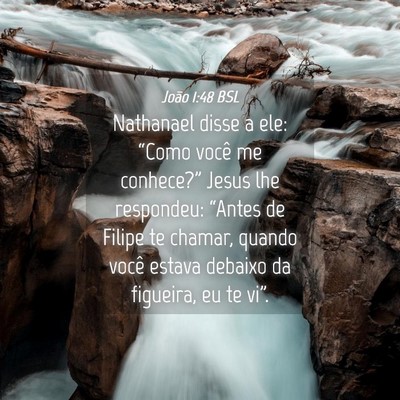 Picture 04 - João 1:48 BSL - Nathanael disse a ele: “Como você me - Bible Verse Picture