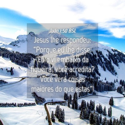 Picture 04 - João 1:50 BSL - Jesus lhe respondeu: “Porque eu lhe disse: 'Eu - Bible Verse Picture