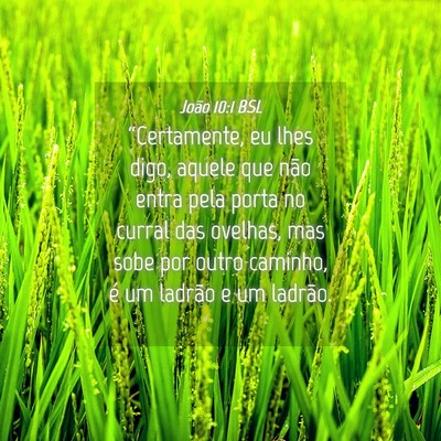 Picture 04 - João 10:1 BSL - “Certamente, eu lhes digo, aquele que não - Bible Verse Picture