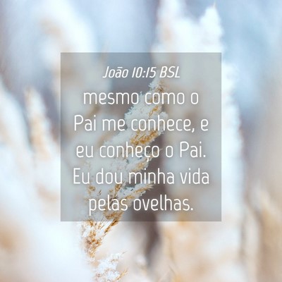 Picture 04 - João 10:15 BSL - mesmo como o Pai me conhece, e eu conheço o Pai. - Bible Verse Picture