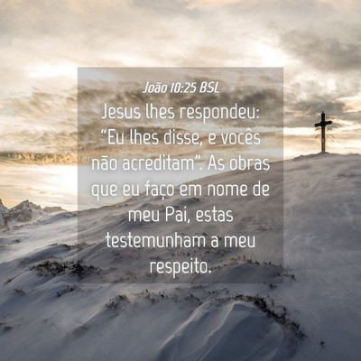 Picture 04 - João 10:25 BSL - Jesus lhes respondeu: “Eu lhes disse, e vocês - Bible Verse Picture