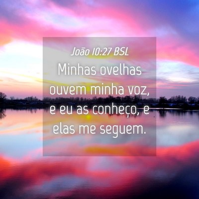 Picture 04 - João 10:27 BSL - Minhas ovelhas ouvem minha voz, e eu as conheço, - Bible Verse Picture