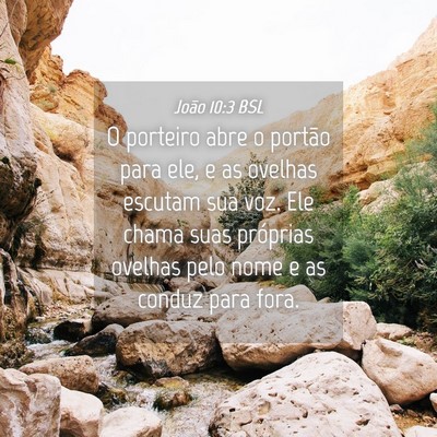 Picture 04 - João 10:3 BSL - O porteiro abre o portão para ele, e as ovelhas - Bible Verse Picture