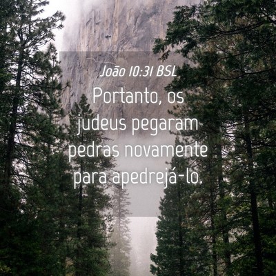 Picture 04 - João 10:31 BSL - Portanto, os judeus pegaram pedras novamente para - Bible Verse Picture