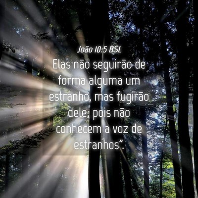 Picture 04 - João 10:5 BSL - Elas não seguirão de forma alguma um estranho, - Bible Verse Picture