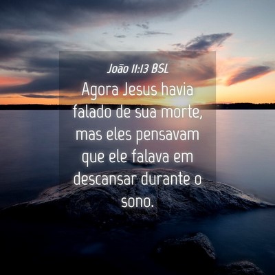 Picture 04 - João 11:13 BSL - Agora Jesus havia falado de sua morte, mas eles - Bible Verse Picture