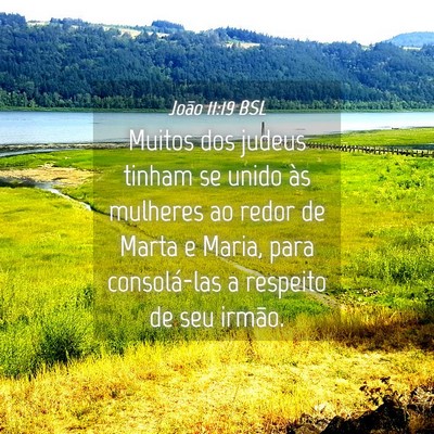 Picture 04 - João 11:19 BSL - Muitos dos judeus tinham se unido às mulheres ao - Bible Verse Picture