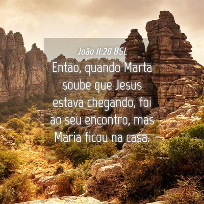 Picture 04 - João 11:20 BSL - Então, quando Marta soube que Jesus estava - Bible Verse Picture