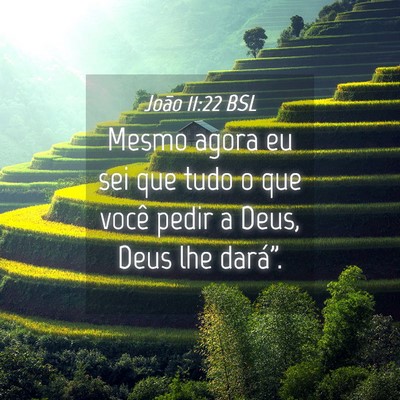 Picture 04 - João 11:22 BSL - Mesmo agora eu sei que tudo o que você pedir a - Bible Verse Picture