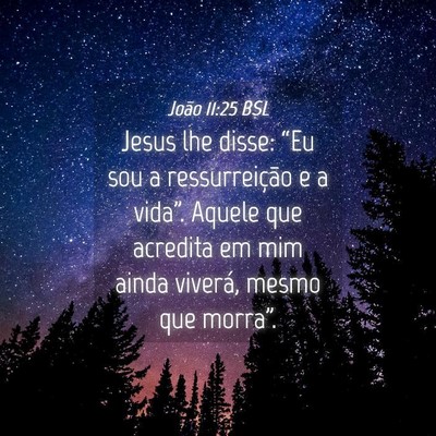 Picture 04 - João 11:25 BSL - Jesus lhe disse: “Eu sou a ressurreição e a - Bible Verse Picture