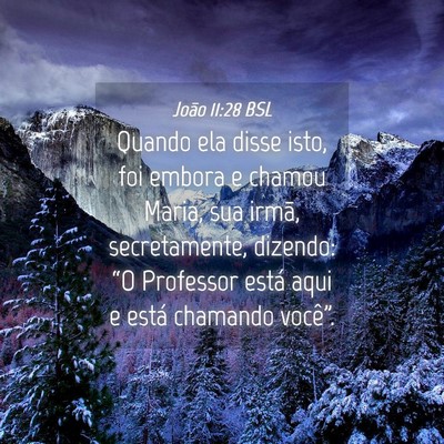 Picture 04 - João 11:28 BSL - Quando ela disse isto, foi embora e chamou Maria, - Bible Verse Picture