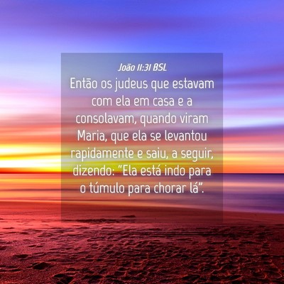 Picture 04 - João 11:31 BSL - Então os judeus que estavam com ela em casa e a - Bible Verse Picture