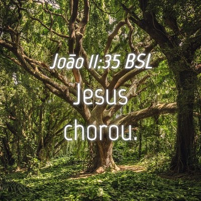 Picture 04 - João 11:35 BSL - Jesus - Bible Verse Picture