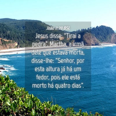 Picture 04 - João 11:39 BSL - Jesus disse: “Tirai a pedra”. Martha, a irmã - Bible Verse Picture