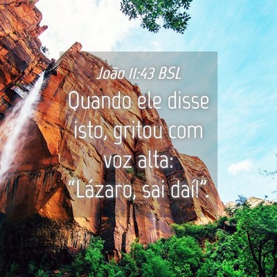 Picture 04 - João 11:43 BSL - Quando ele disse isto, gritou com voz alta: - Bible Verse Picture