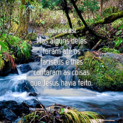 Picture 04 - João 11:46 BSL - Mas alguns deles foram até os fariseus e lhes - Bible Verse Picture